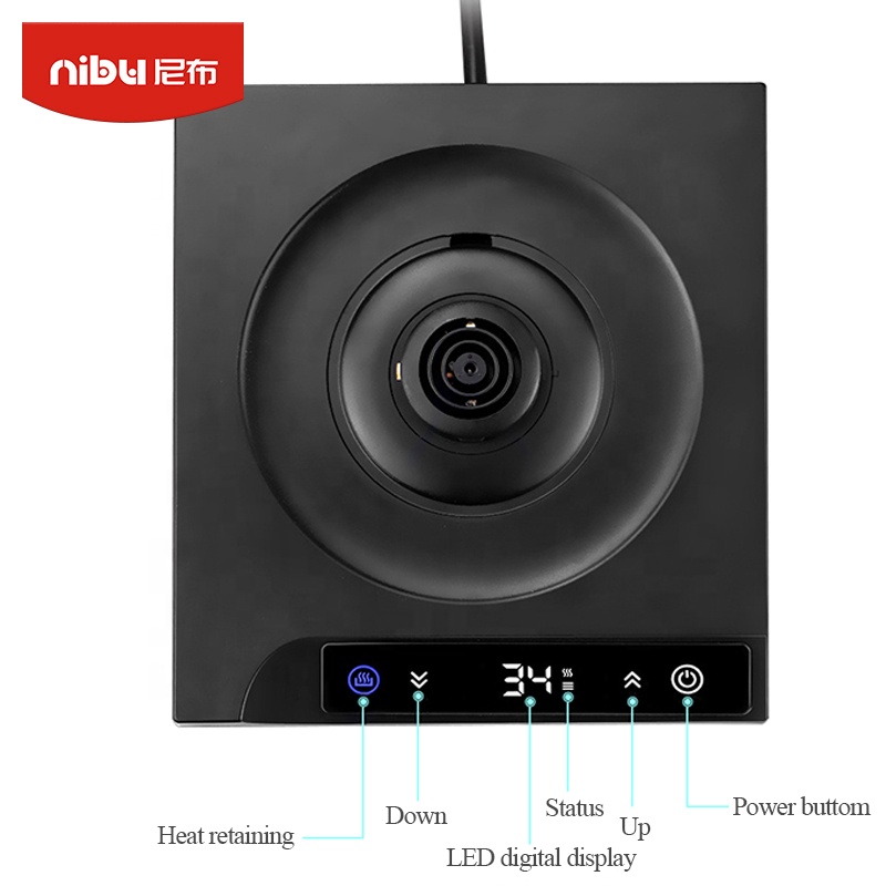 Bouilloire électrique en acier - Electric Kettle Temperature Control avis et prix
