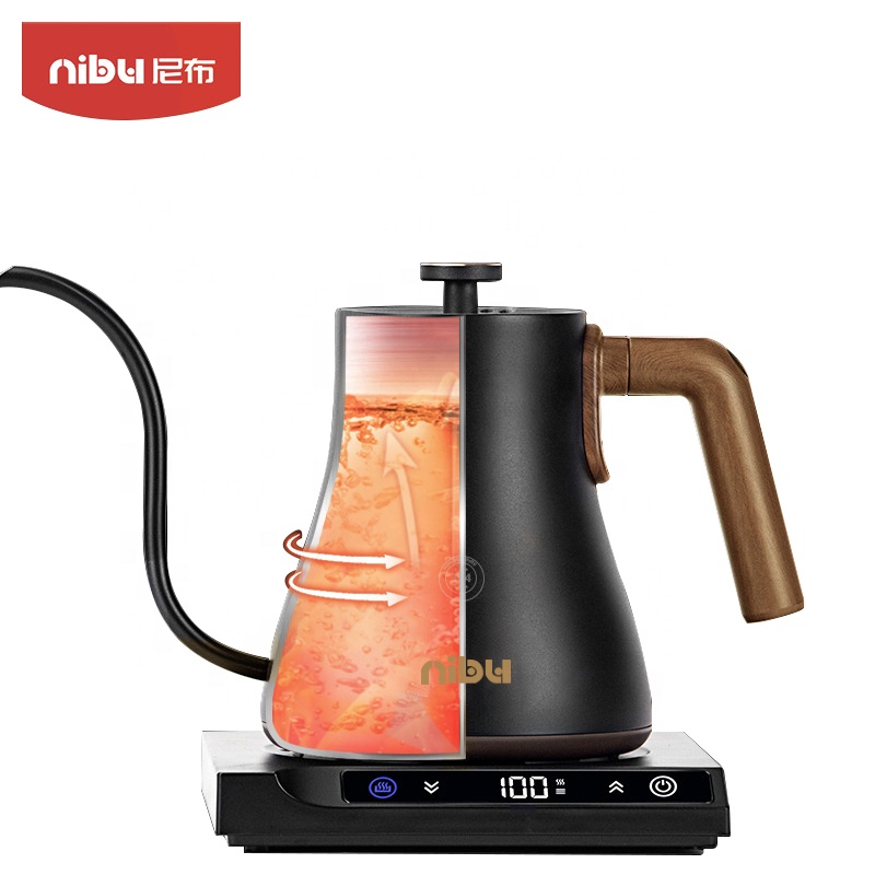 Bouilloire électrique en acier - Electric Kettle Temperature Control avis et prix